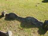 image of grave number 228007
